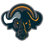 Buffalo Swap